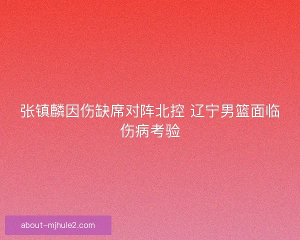 张镇麟因伤缺席对阵北控 辽宁男篮面临伤病考验
