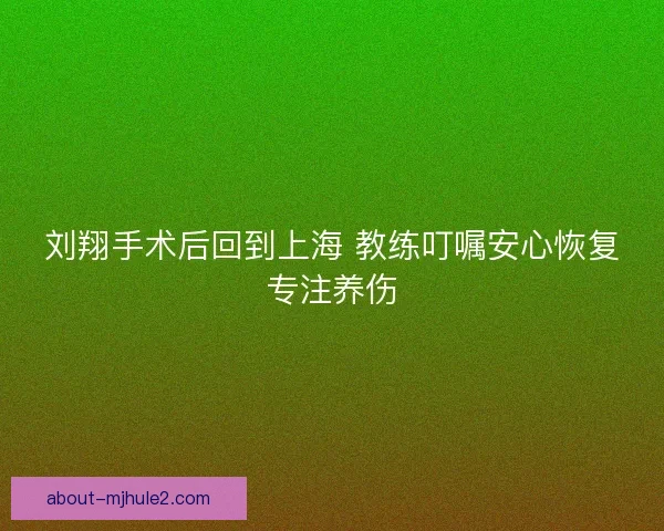 刘翔手术后回到上海 教练叮嘱安心恢复专注养伤